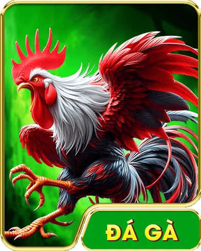 Trang chủ 25 da ga 1